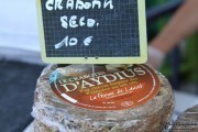 2016_08_pesquera_2016_068