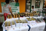 2017_07_pesquera_2017_009
