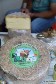 2017_07_pesquera_2017_089