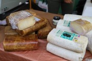 2017_07_pesquera_2017_124