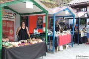 2017_07_pesquera_2017_133
