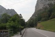 IMG_7446