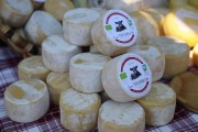 2018_08_pesquera_2018_025