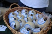2018_08_pesquera_2018_125