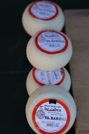 2019_08_ferisa_queso_pesquera_004_mulecarajonero