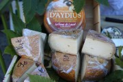 2019_08_ferisa_queso_pesquera_009_mulecarajonero