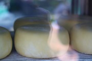 2019_08_ferisa_queso_pesquera_030_mulecarajonero