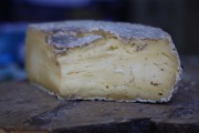 2019_08_ferisa_queso_pesquera_034_mulecarajonero