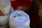 2019_08_ferisa_queso_pesquera_081_mulecarajonero