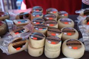 2019_08_ferisa_queso_pesquera_087_mulecarajonero