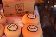 2019_08_ferisa_queso_pesquera_093_mulecarajonero