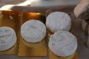 2019_08_ferisa_queso_pesquera_095_mulecarajonero