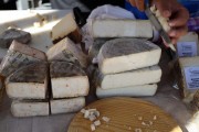 2019_08_ferisa_queso_pesquera_097_mulecarajonero