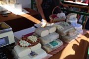 2019_08_ferisa_queso_pesquera_098_mulecarajonero
