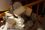 2019_08_ferisa_queso_pesquera_102_mulecarajonero