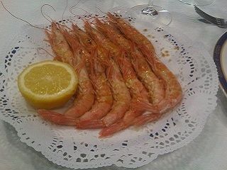 2008 11 marisma 2 003