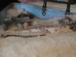 2010_01_maritino_004