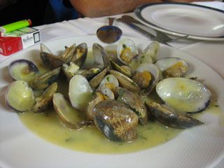 2010_08_ca_navarro_001