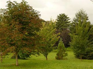 2010_riconcha_000