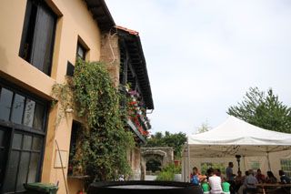 2010_salvatierra_001