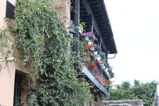 2010_salvatierra_001