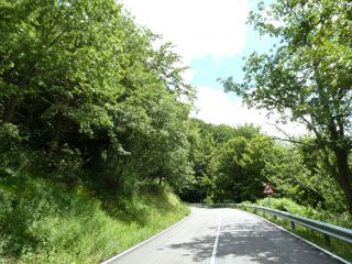 2011_07_venta_pepin_001