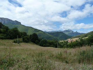 2011_07_venta_pepin_002