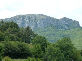 2011_07_venta_pepin_003