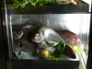 2011_bombi_07_003