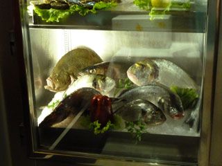 2011_bombi_07_004