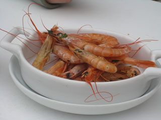 2011_cocinero_002