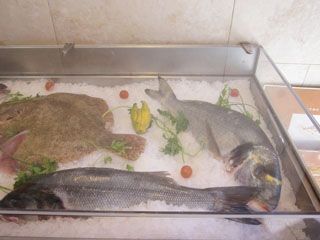 2011_flor_tet_mayo_001