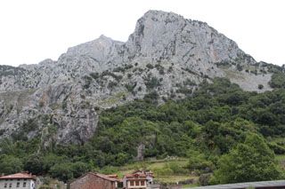 2011_paquin_000