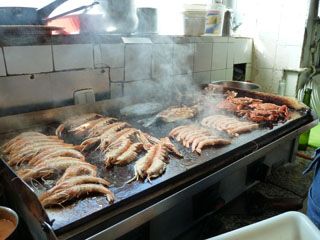 2012 03 la chulilla 002