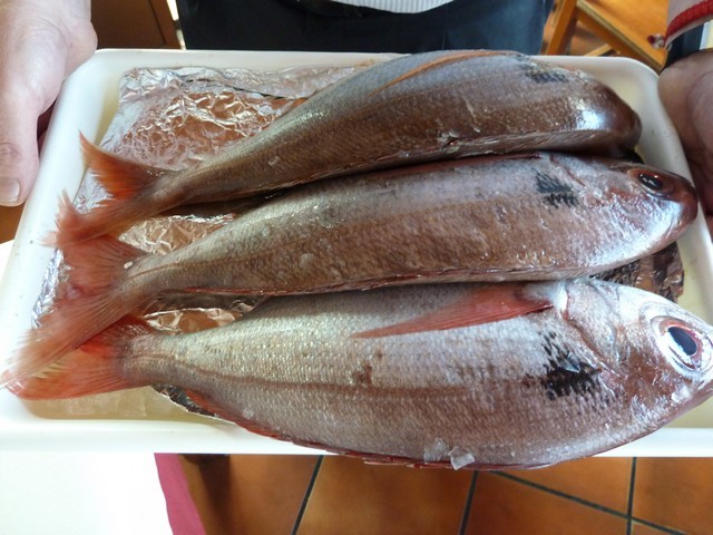 2012 03 ruso 001