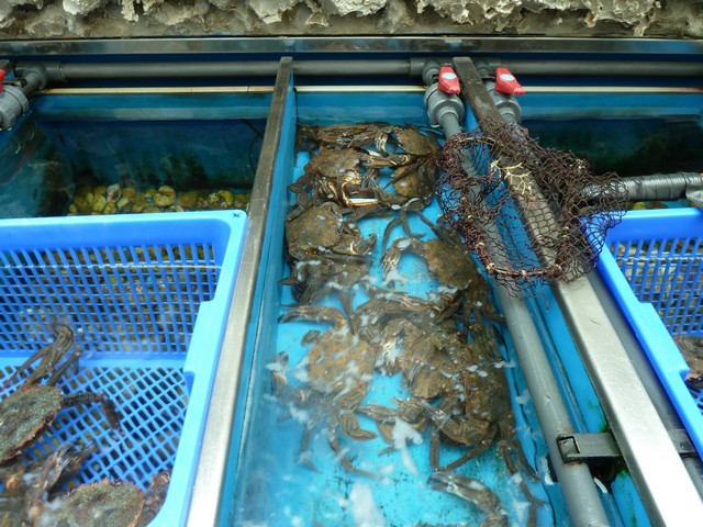 2012 03 ruso 001