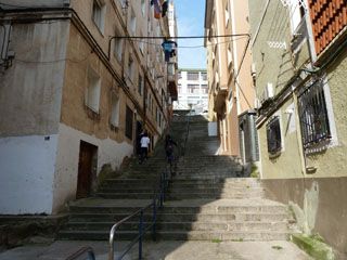 2012 03 yerbabuena 001