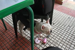 2012 07 colimbo 002
