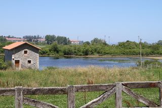 2012 molino ent 005