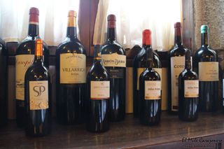 2014 02 espanol selaya 006