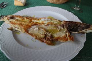 2014 03 guerruca 004
