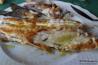 2014 03 guerruca 006