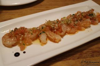 2014 08 cadelo 009