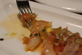 2014 08 cadelo 010