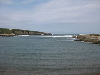 IMG_6453