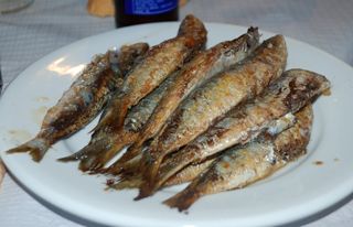 barquereo 1