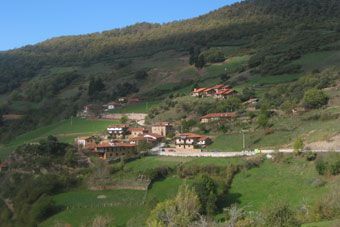 camarica_001