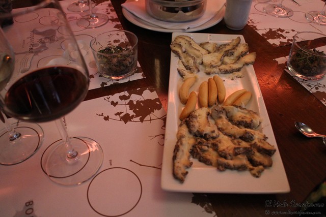 cata bodegas robles 11 001