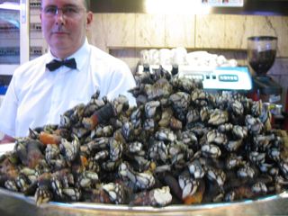 Percebes Flor de Tetuan Santander