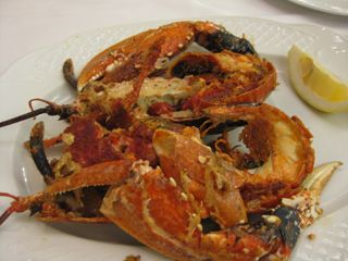oyocantaro bogabante Flor de Tetuan Santander